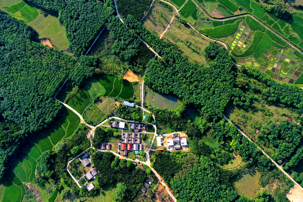 人生就是博-尊龙凯时中国官网