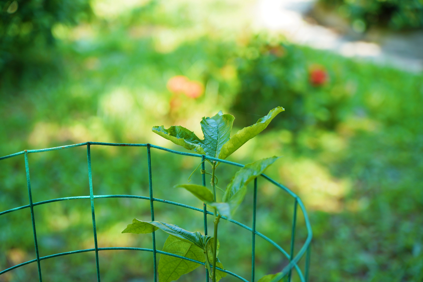 人生就是博-尊龙凯时中国官网