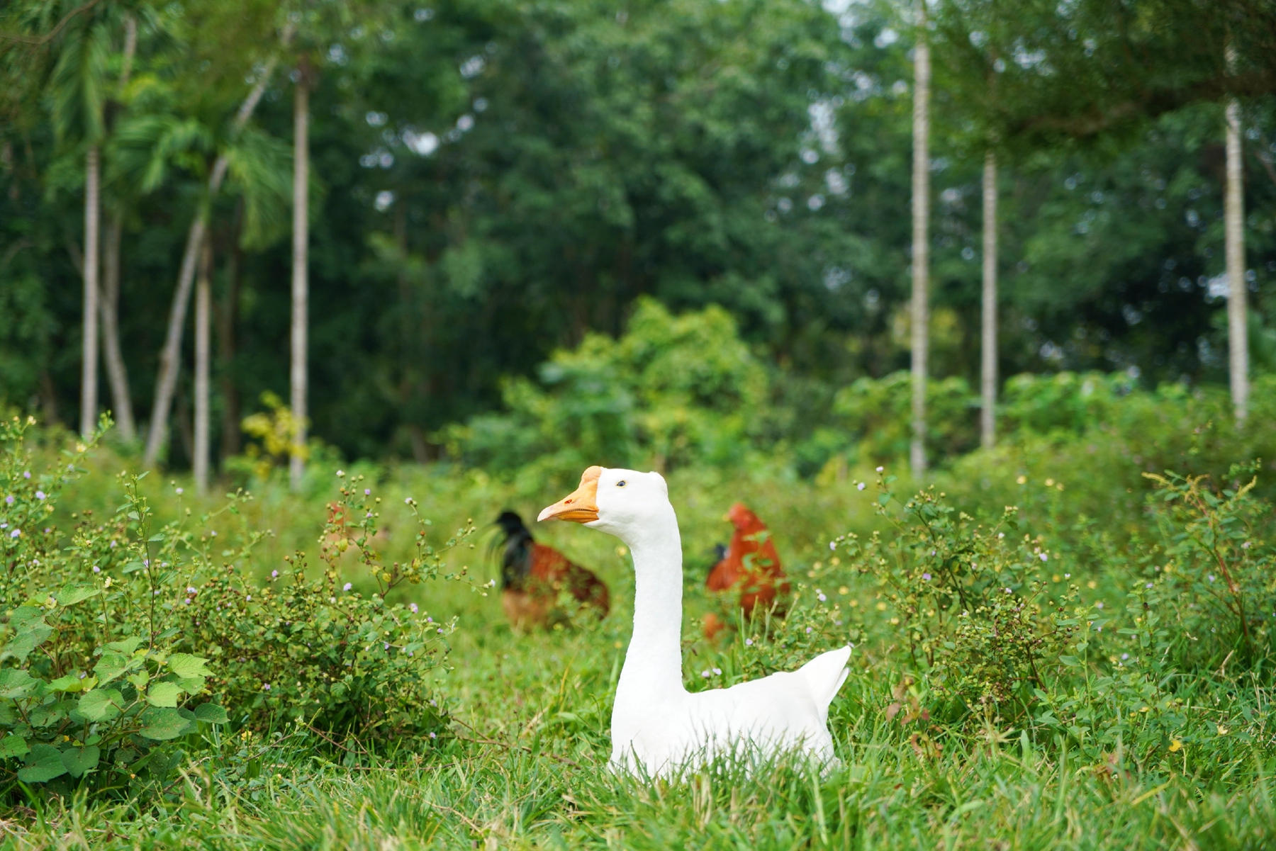 人生就是博-尊龙凯时中国官网