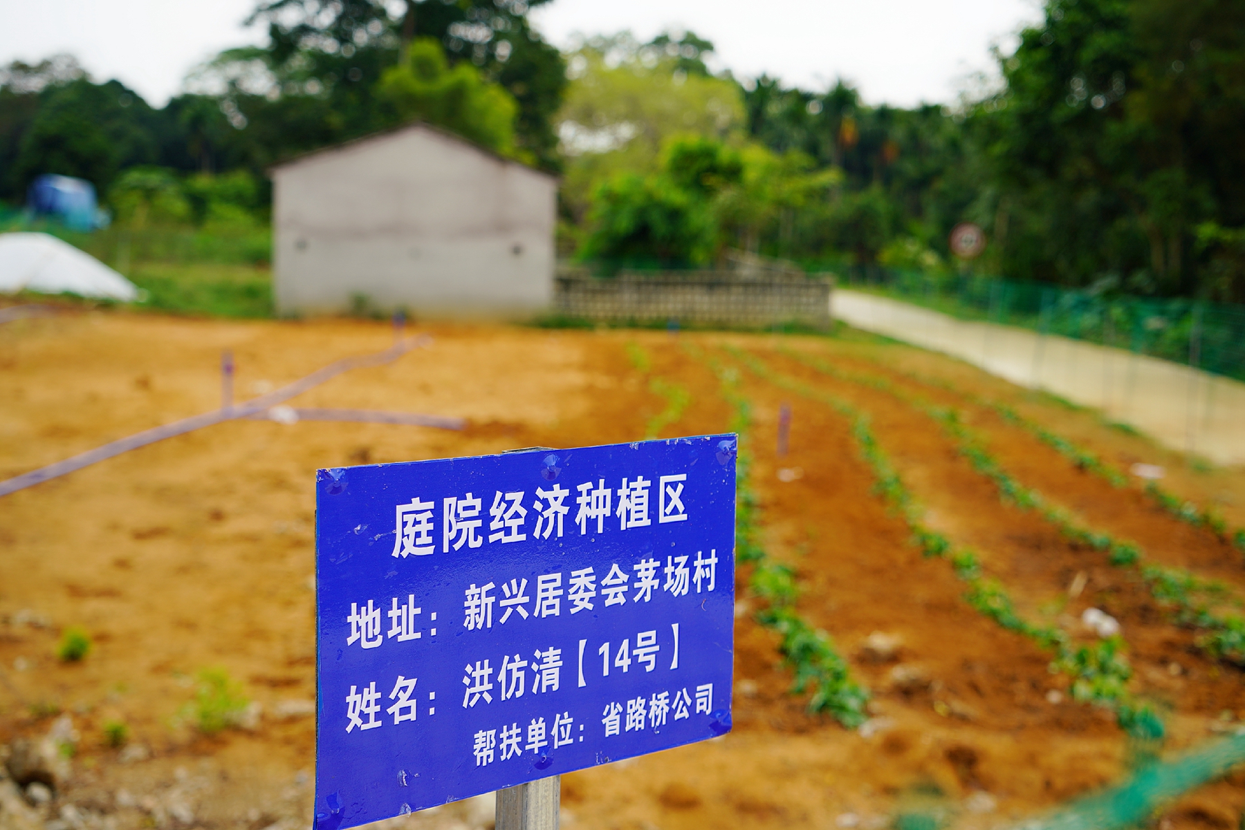 人生就是博-尊龙凯时中国官网