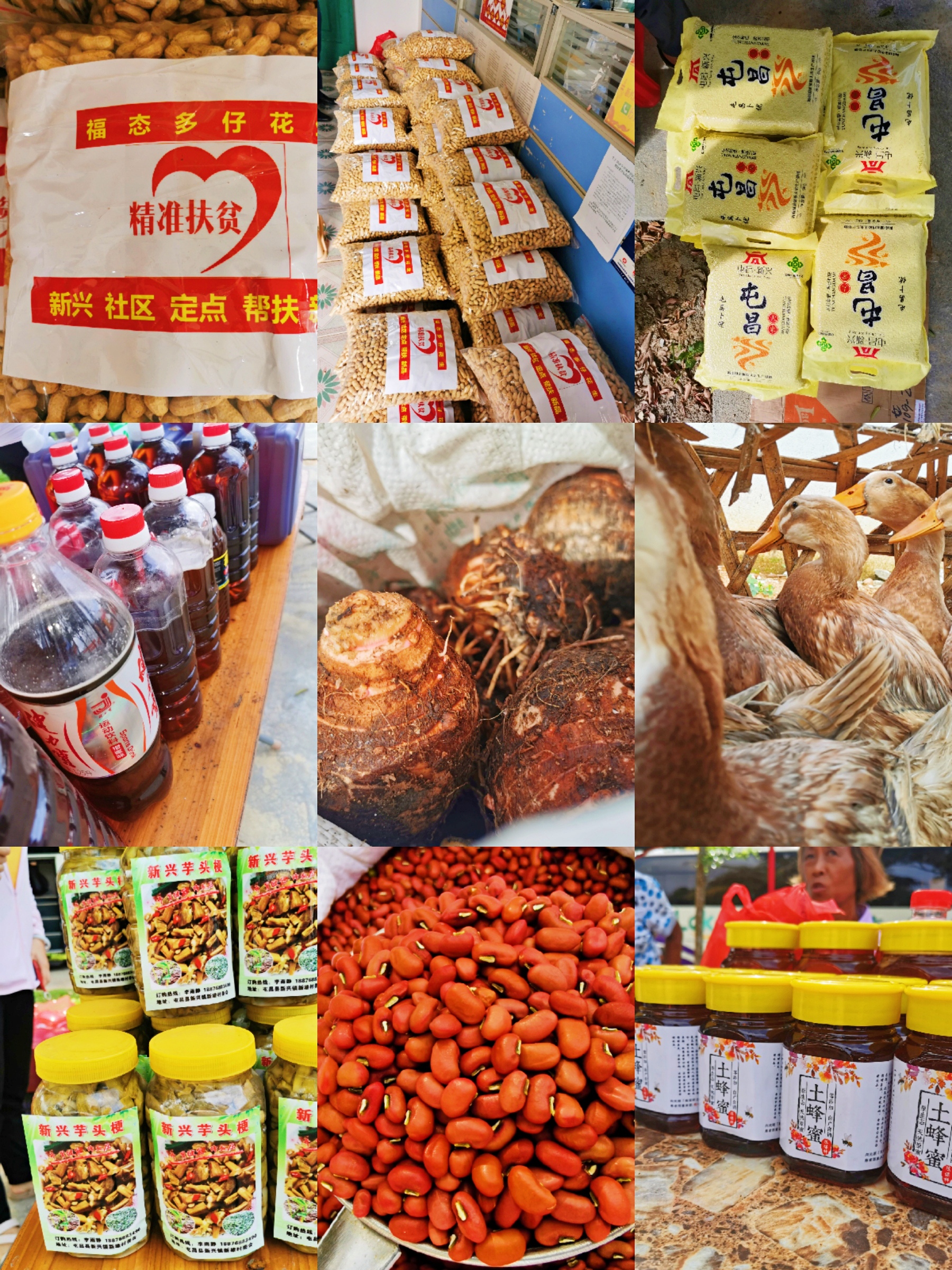 人生就是博-尊龙凯时中国官网