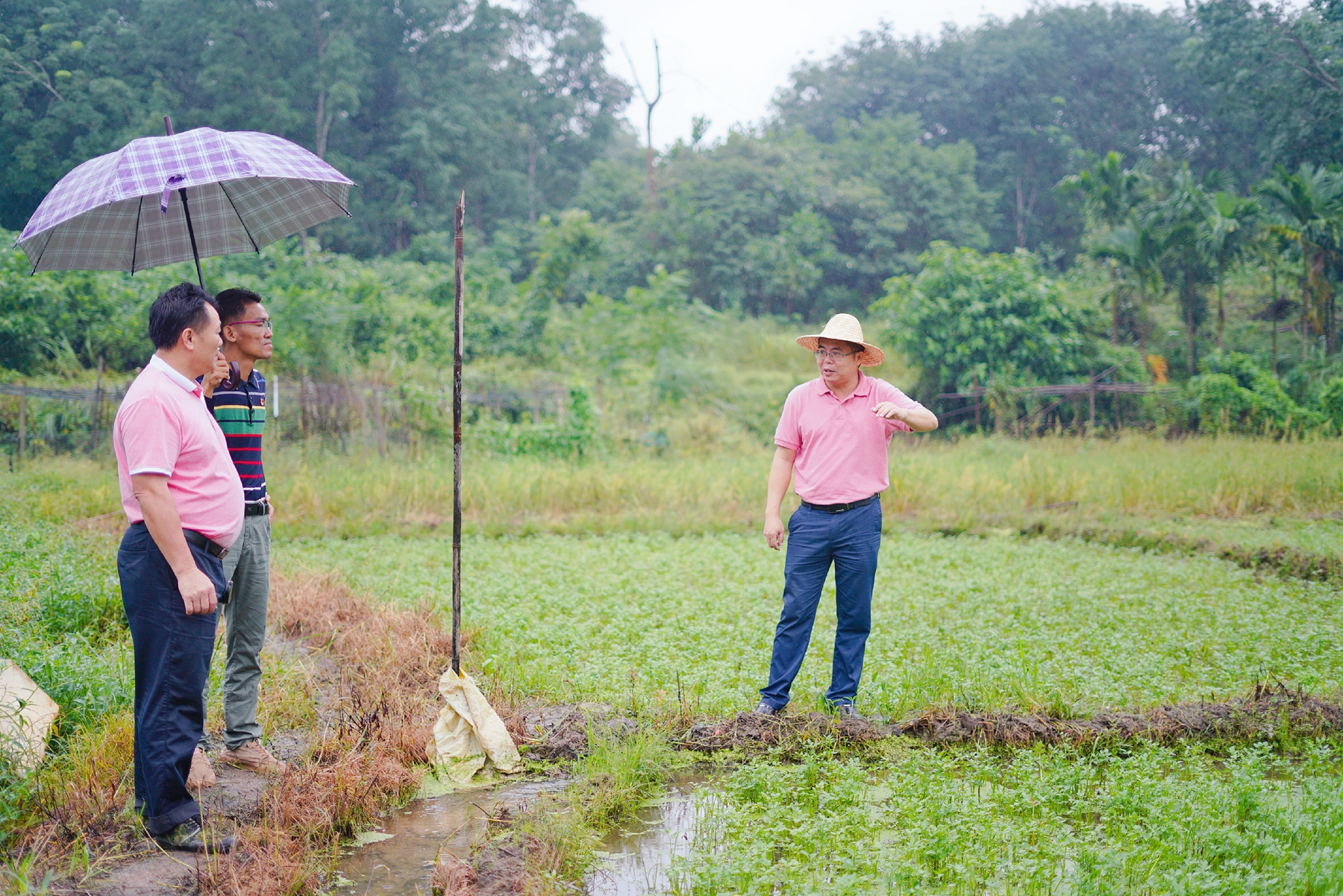 人生就是博-尊龙凯时中国官网