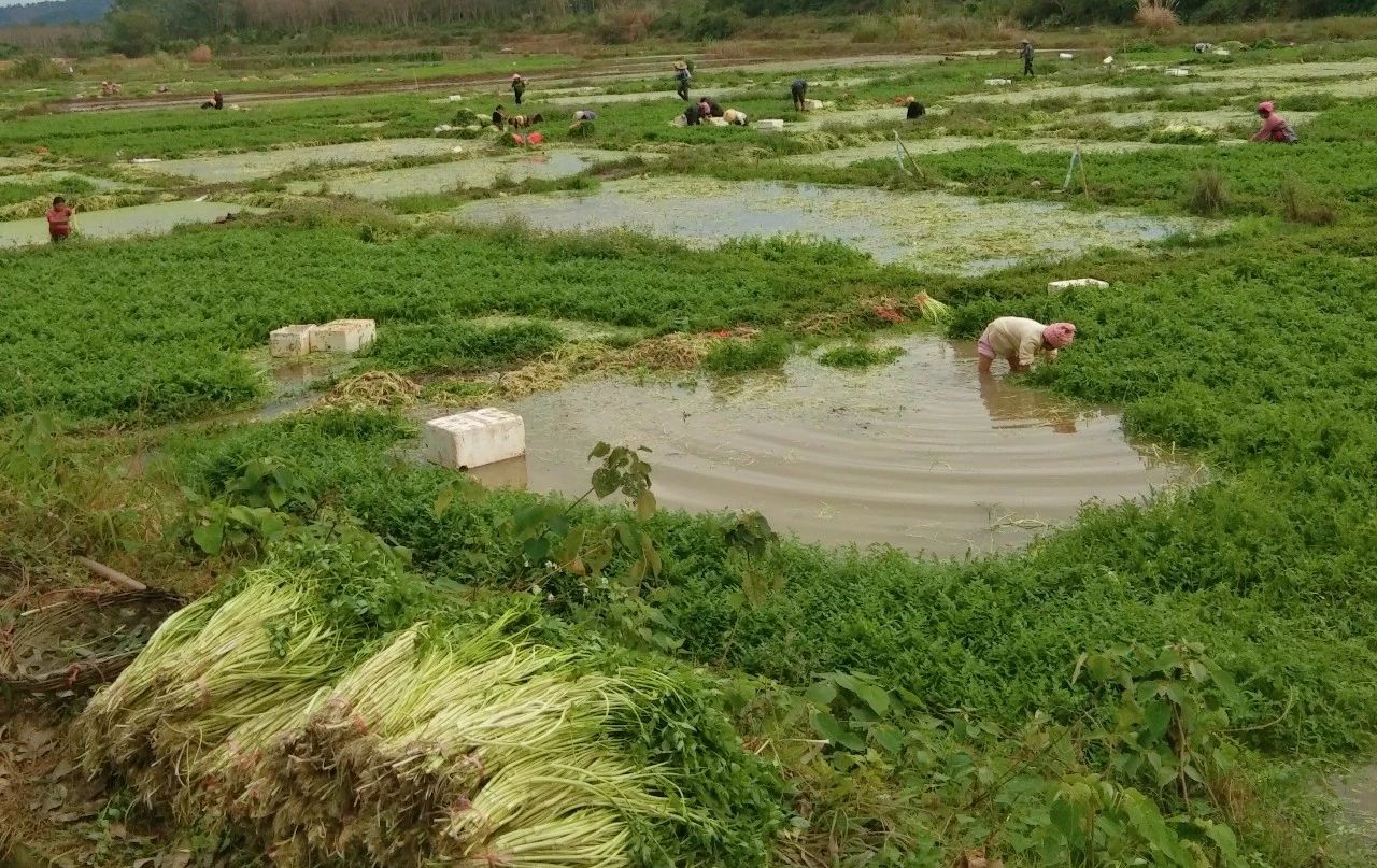 人生就是博-尊龙凯时中国官网