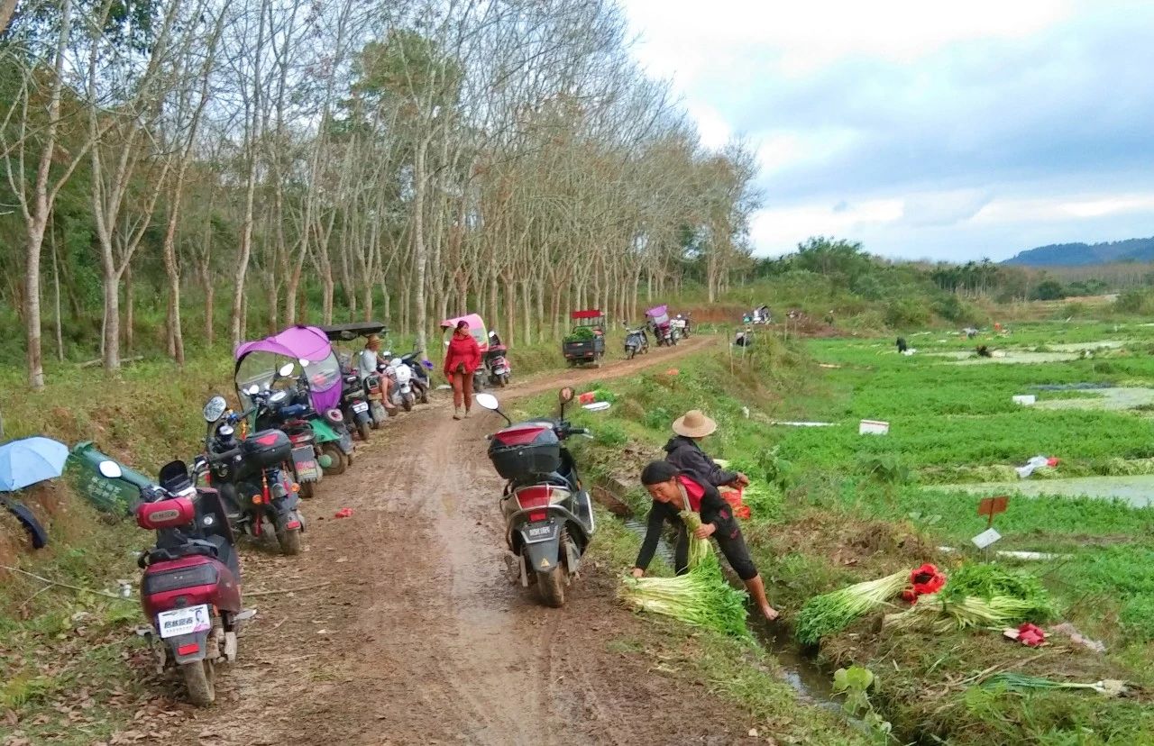 人生就是博-尊龙凯时中国官网