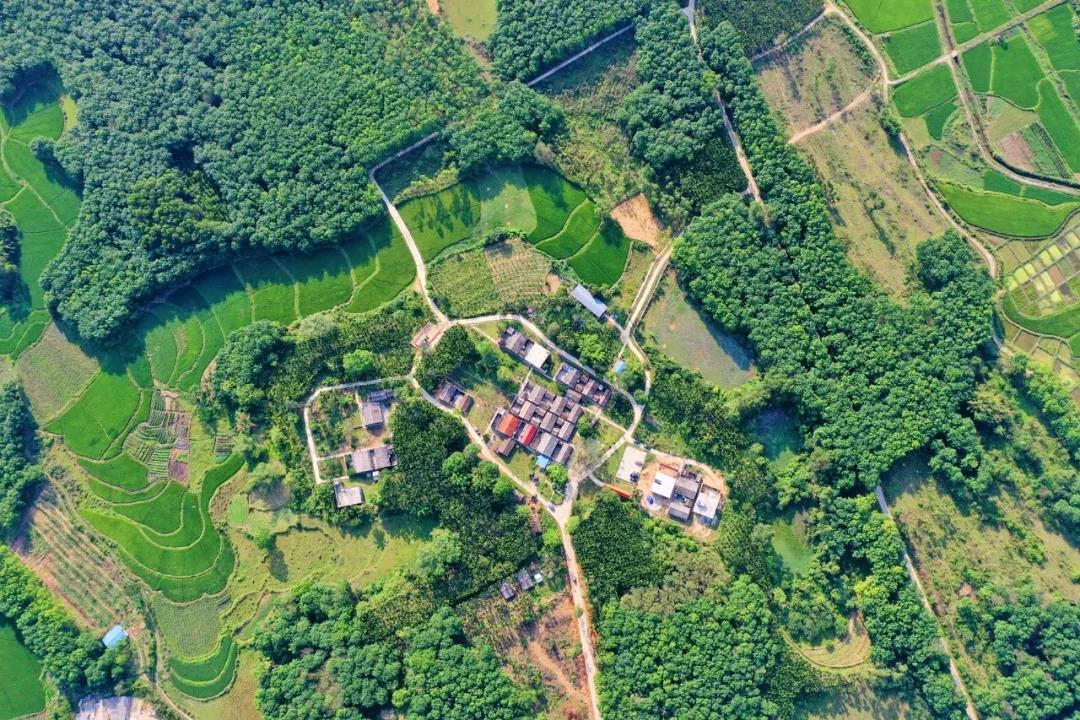 人生就是博-尊龙凯时中国官网