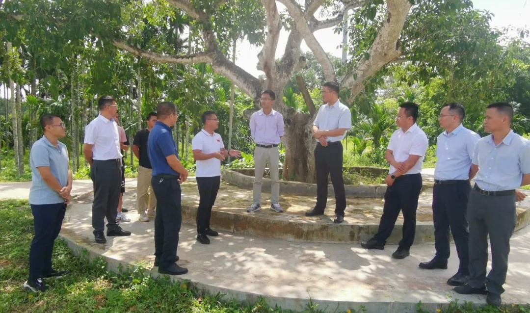 人生就是博-尊龙凯时中国官网